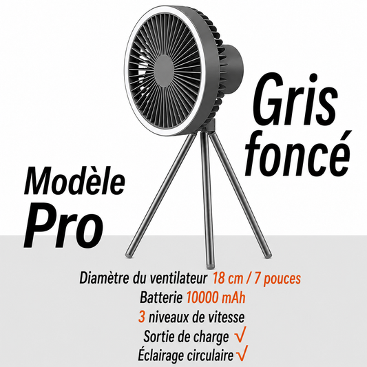 Ventilateur Camping LED